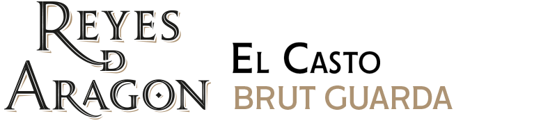 REYES DE ARAGÓN EL CASTO BRUT GUARDA